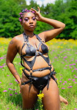 Load image into Gallery viewer, KAYPHORIA X HARNESS SET
